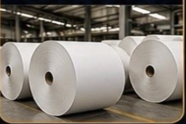 Paper rolls in paper manufacturing facility